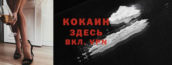 крисы Баксан