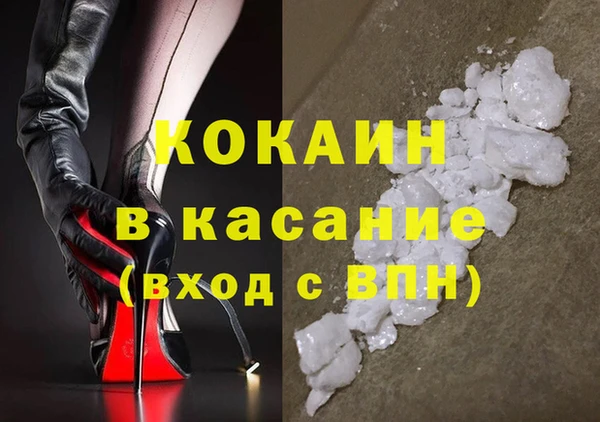 крисы Баксан