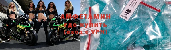 крисы Баксан