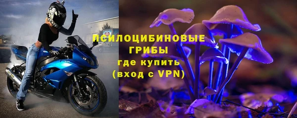 крисы Баксан