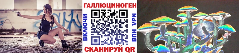 где найти OMG рабочий сайт Галлюциногенные грибы Psilocybine cubensis Лагань